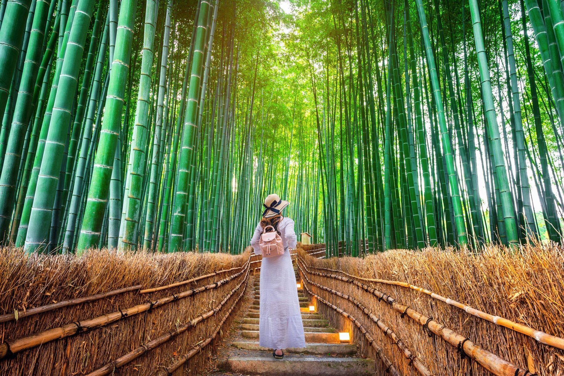 11 Days Spirit of Kyushu — 3