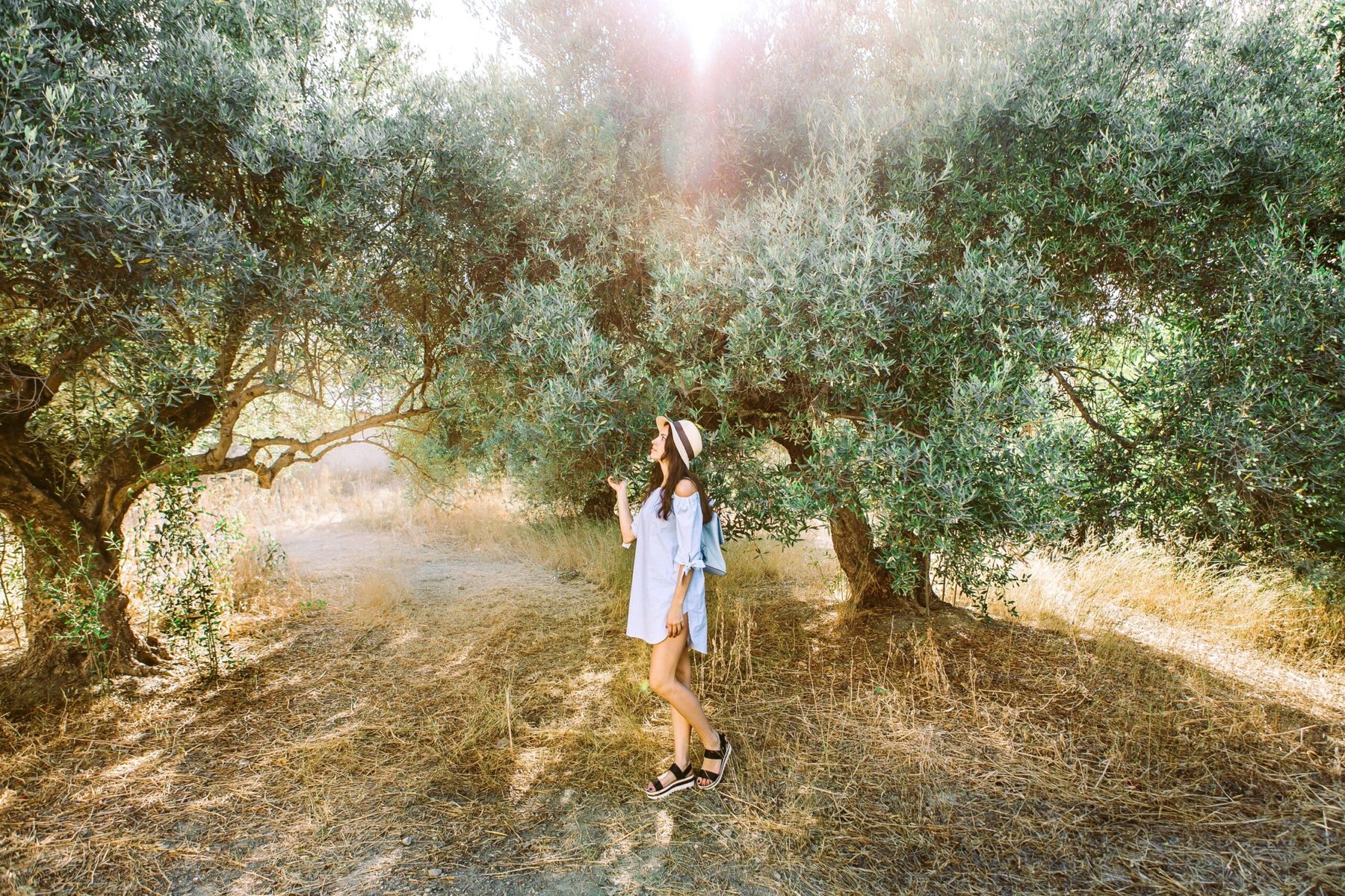 8 Days Pathways of Crete — 5