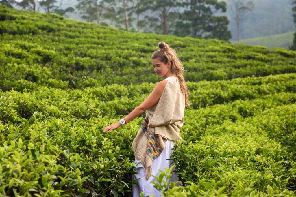 Walking through tea plantations