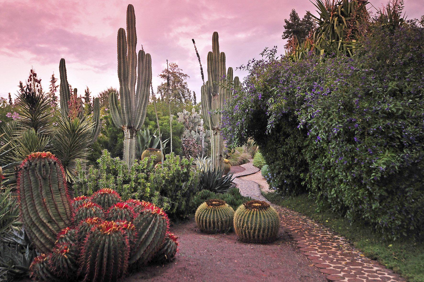 5 Day Enchanting Marrakech — 2