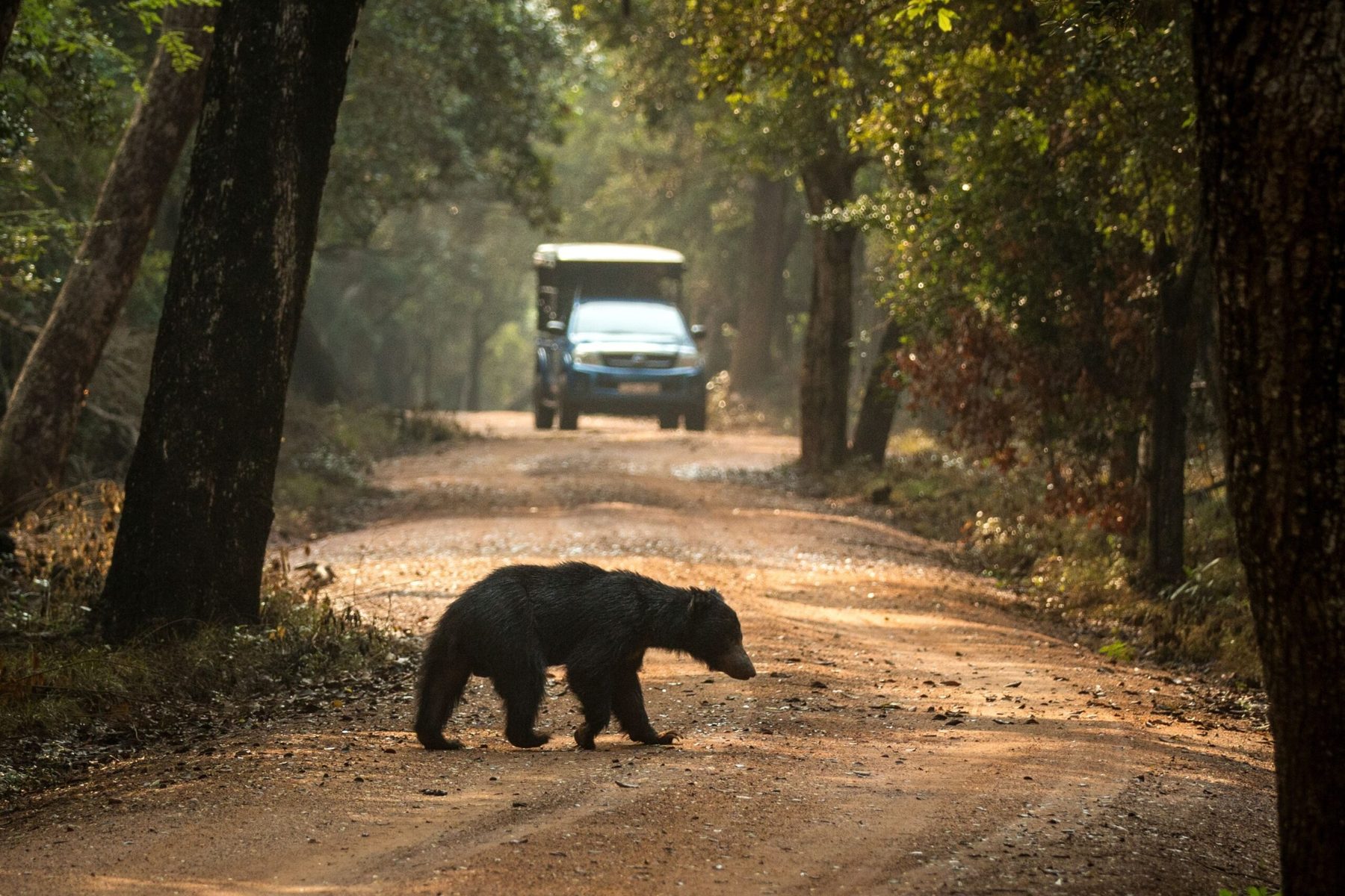 12 Days Wild Sri Lanka — 4